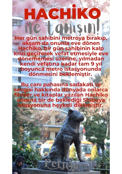 Petjoo 19.Hachiko Gri-Kırmızı Qr'lı Köpek Künyesi