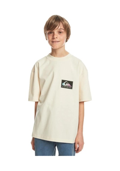 Quiksilver Back Flash Ss Youth Bej Çocuk T-shirt Bej