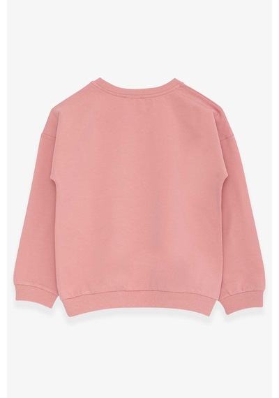 Breeze Kız Çocuk Sweatshirt Pullu Yazı Baskılı 4-8 Yaş, Gülkurusu
