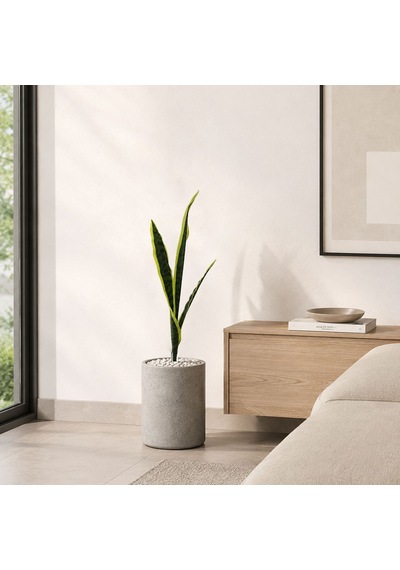 Yapay Bitki Paşakılıcı Sansevieria Demet Sarı Yeşil 65 Cm