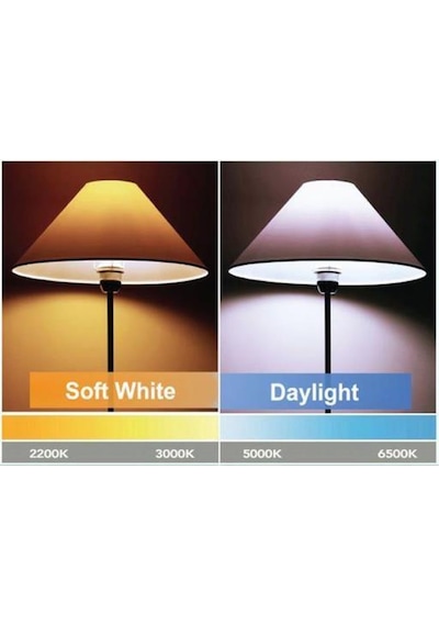 Philips 8W 60W Led Ampul Beyaz 6500K E27 Duy