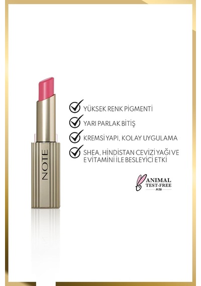 Aura Silk Lipstick 06 Endless Plum Kremsi Yarı Parlak Ruj - Pembe Diğer