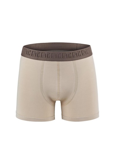 Efsi 3019 Erkek Boxer 001