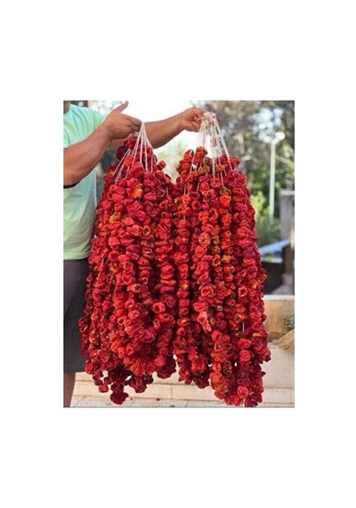 Buhara Dolmalık Kurusu Acı 25 Adet