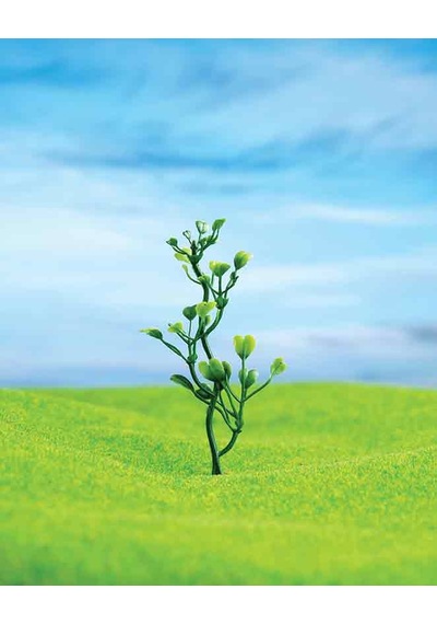 Eshel Maket Yeşil Çiçek--8 Cm--5 Li