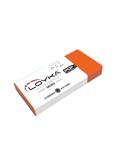 Loyka Mono Tek KullanıMLık Sıcaklık Kayıt Cihazı