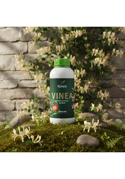 Vinea Üçlü 500 Ml 3 Adet Dış Mekan Süs Bitkisi Besini - Begonvil Ve Hanımeli İçin Hızlı Büyüme 500 ML