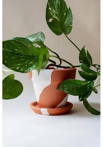 Terracotta Konik Saksı+tabak Bohem Beyaz Küçük