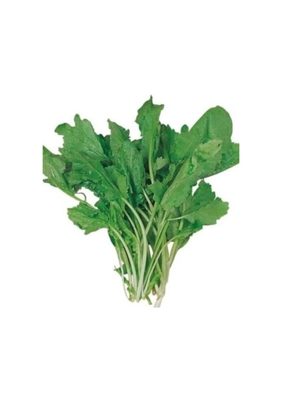 Tedar Tere Tohumu 10 Gr Najmaddin Standart