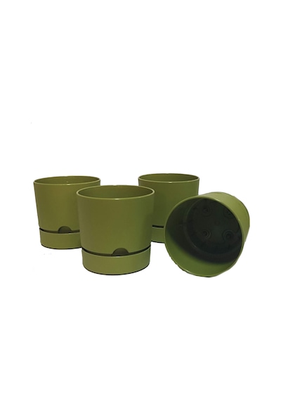 Poliwork 4 Lü Begonya 15 Cm Renkli Plastik Tabaklı Saksı