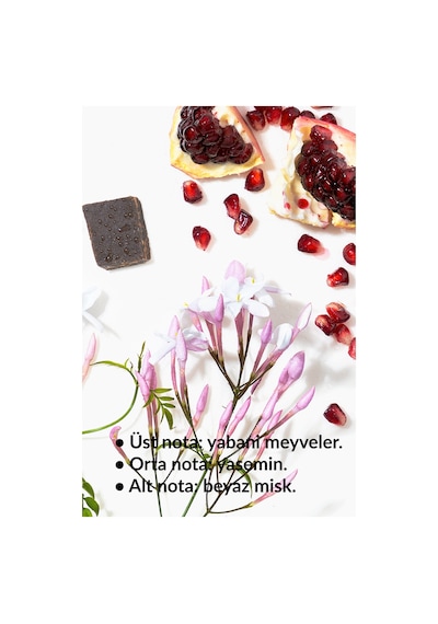 Pur Blanca Ve Pur Blanca Elegance Kadın Parfüm Paketi Diğer