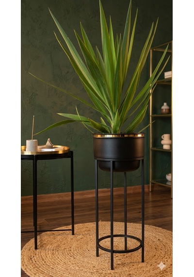Bitkidunyam Mat Ayaklı Saksı, Metal, Altın Detaylı Kenar, Modern Minimalist Stil, İç Mekan, 62x26 Cm No:12 Siyah