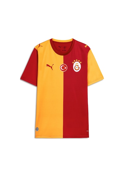 Puma Galatasaray 26/27 Erkek İç Saha Parçalı Forma 78499101