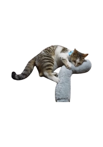 Tineke Kedi Otlu Sarılma Yastığı Uyku Oyuncağı 30 CM