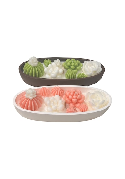 2 Li Kaktüs Sukulent Mum 21x9x4 Cm Yeşil Ve Bebe Pembesi Mango Ve Hindistan Cevizi Kolulu Yeşil