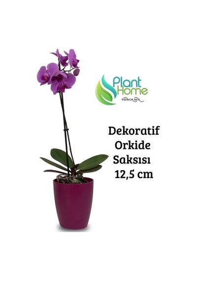 Dekoratif Vişne Orkide Saksısı-a Adet Set  -12 Pot Üretim Saksısına Uygun Kaliteli Ürün
