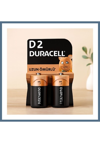 Buradabulabilirsin Lr20 D Alkalin Pil 2'li Bbz