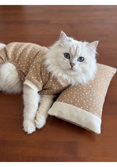 Latte Sprinkles Kedi Uyku Seti Penye Kedi Tulum Ve Mini Yastık Takımı Pamuklu Tüy Dökülmesini Azaltır
