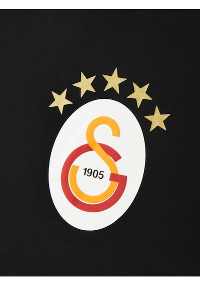 Galatasaray Lisanslı 5 Yıldız Büyük Logolu Siyah T-shirt Aslan Ahşap Kutulu E251402