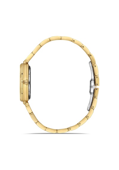Ferro Fl43006a-b Quartz Çelik Altın Rengi 32 Mm Kadın Kol Saati Altın