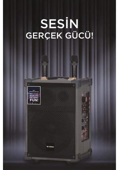 D71 Profesyonel Çift Mikrofonlu Bt Kablosuz Hoparlör Bass Ses Kutusu Speaker