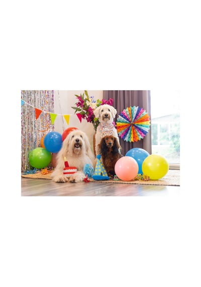 Hnrlıshp Beeztees Köpek Oyuncağı, Parti Balonu, Peluş, Mavi, 39x13x7,5cm