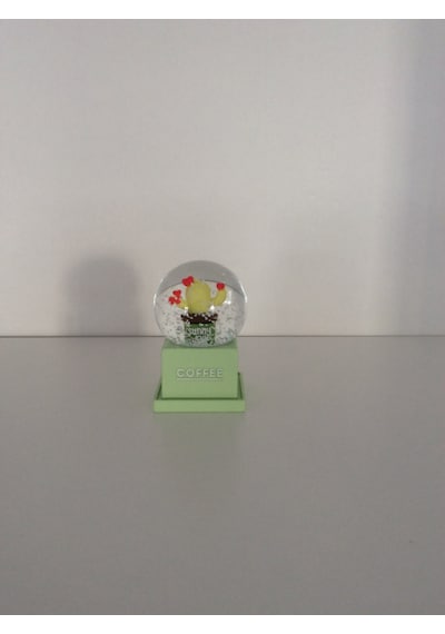 Kaktüs Mini Kar Ku Re Su Yeşili