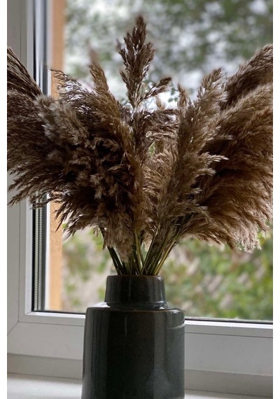 Dekoratif 7'li Natural Pampas 100 Cm Doğal