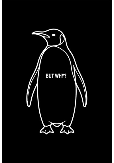 Wear Vexel Kadın T-shirt Nihilist Penguen Baskılı Bisiklet Yaka Kısa Kol Yazlık Tişört - Siyah Siyah Wear Vexel Kadın T-shirt Nihilist Penguen Baskılı Bisiklet Yaka Kısa Kol Yazlık Tişört - Siyah Siyah