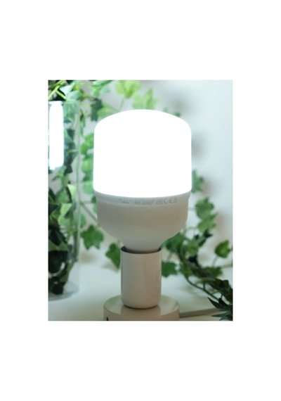 Ack 30w Led Ampul 6500k Beyaz Işık 220v E27 Torch