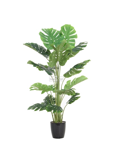 Yapay Deve Tabanı Ağacı Monstera Ağacı Gerçek Dokulu 16 Yapraklı 150 Cm