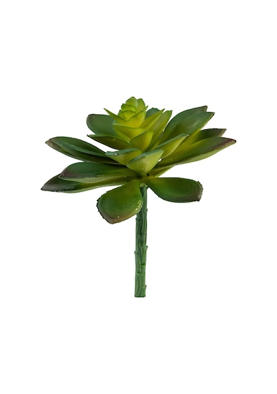 Yapay Mini Etli Echeveria Sukulent Yeşil 12 Cm-4833
