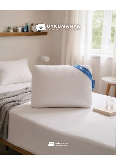 Organic Visco Yastık 60x40 14 Bed Pillow Organic Genel