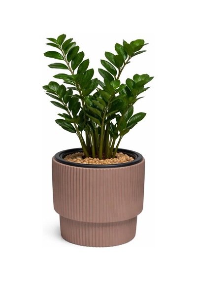 Omnipazar So-vgs2 Vega Modern Plastik Saksı Takımı İç Kovalı 20 Litre No:2 Mocha