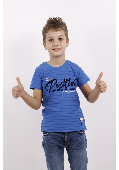 Toontoy Kids Toontoy Erkek Çocuk Flok Baskılı Örgülü Tişört Saks