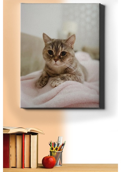 Webstyle Sayılarla Boyama Seti Kasnaklı Minik Kedi 1 50x65 Cm