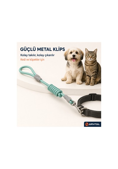 Evcil Hayvan Fitil Gezdirme Tasması 10 Mm X 120 Cm Kedi Köpek Gezdirme İpi Çok Renkli