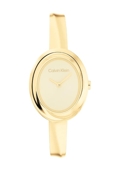 Calvin Klein Ck25100056 Kadın Kol Saati