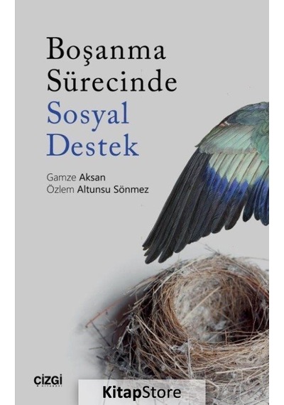 Boşanma Sürecinde Sosyal Destek - Gamze Aksan - Çizgi Kitabevi