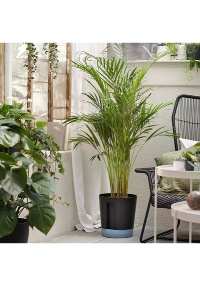 Ikea Vardtrad Sulama Düzenekli Saksı, Antrasit, İç/dış Mekan 81471376