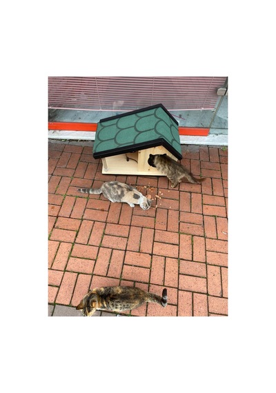 Kedi Yuvası Kedi Evi Özel Üretim İç Ve Dış Mekan Tırmalama Ve Mama Kablı 74x45 Cm