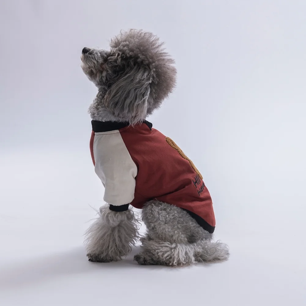 Kahverengi Baby Teddy Kedi Köpek Sweat