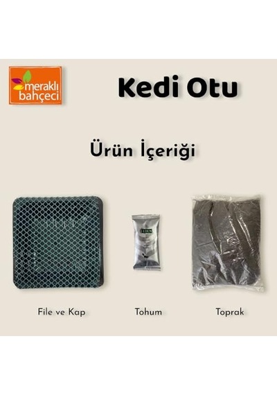Meraklı Bahçeci Kedi Çimi - Kedi Sindirim Sistemini Rahatlatıcı Sağlıklı Kedi Otu