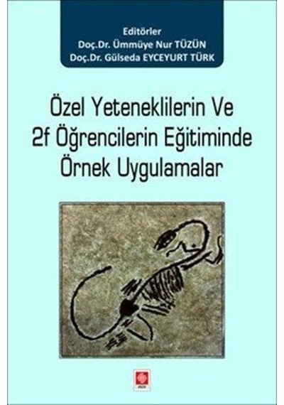 Özel Yeteneklilerin Ve 2f Öğrencilerin Eğitiminde Örnek Uygula...