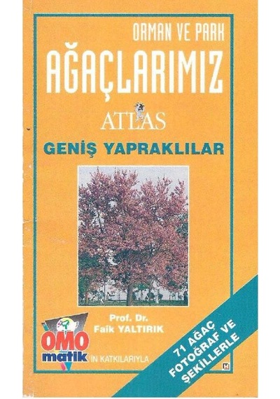 Orman ve Park Ağaçlarımız - 71 Ağaç Fotoğraf ve Şekillerle