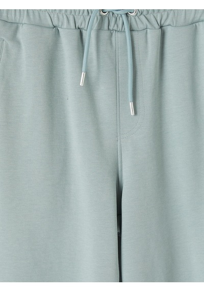 Lcwaıkıkı Classic Yeşil Regular Fit Erkek Şort