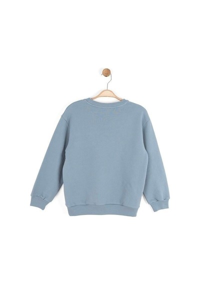 Zekids Erkek Çocuk Desenli Sweatshirt-16145 Gri
