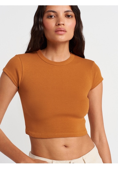 Dilvin 31810 Bisiklet Yaka Crop T-shirt-a.kiremit A.kiremit