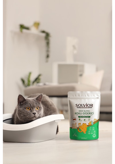Solvior Kedi Kumu Koku Giderici Aktif Karbon 500 Gr