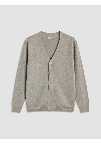 Lcwaıkıkı Classic Bej Regular Fit V Yaka Erkek Triko Hırka